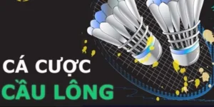 Cách Chơi Cá Cược Cầu Lông K9Win Dễ Thắng Cho Người Mới 2025