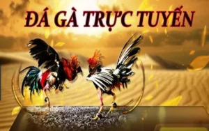 Cách Chơi Đá Gà 3D Tại K9Win Hấp Dẫn Dễ Thắng