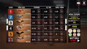 Cách Chơi Game Nhanh Đua Chó Tại K9Win Thắng Nhanh Hấp Dẫn